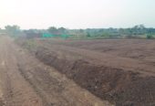 20 Guntas Farm Land in Chevella