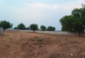 5 Gunta Farm Land in Yethbarpally Village