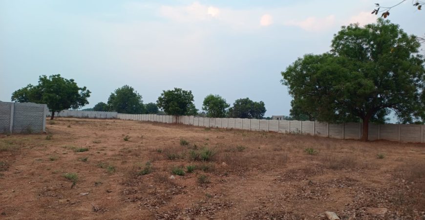 5 Gunta Farm Land in Yethbarpally Village