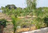 23 gunta Farm land in Nakkalapally Village