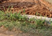 Agricultural Open Land For Sale: 20 Guntas