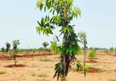 Maheswaram farm land plots