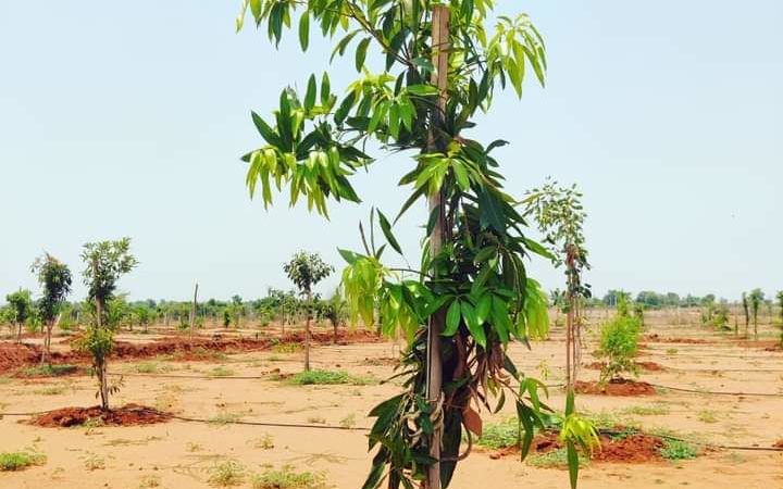 Maheswaram farm land plots