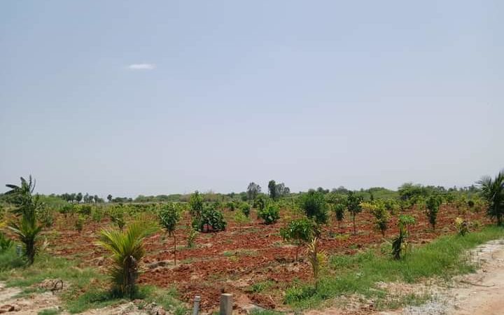 Maheswaram farm land plots