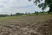 50 acres farmland near substation in yavatmal