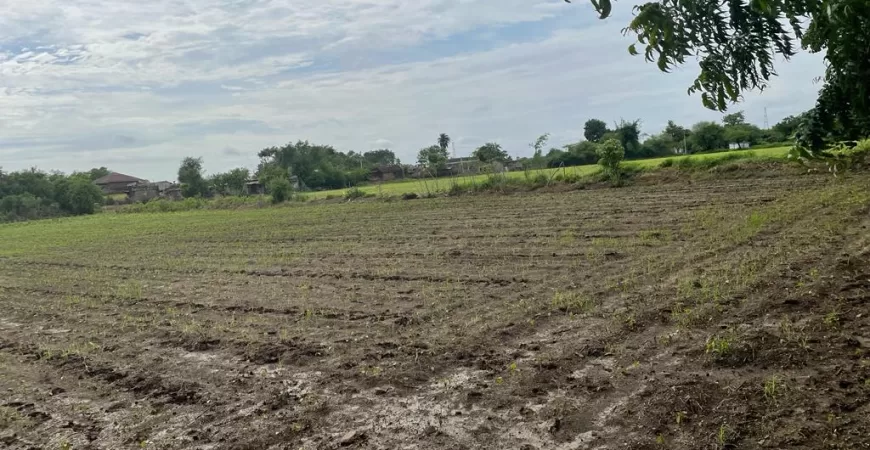 50 acres farmland near substation in yavatmal